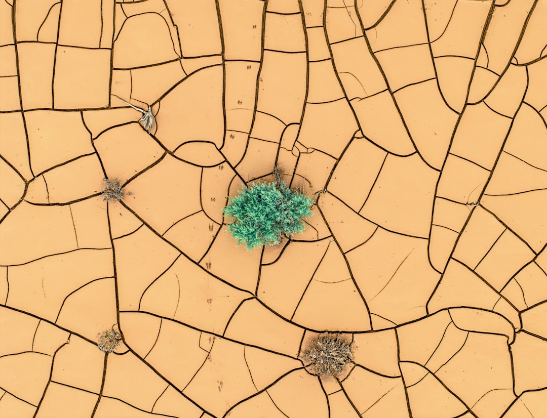 Ciberseguridad en servicios geoespaciales