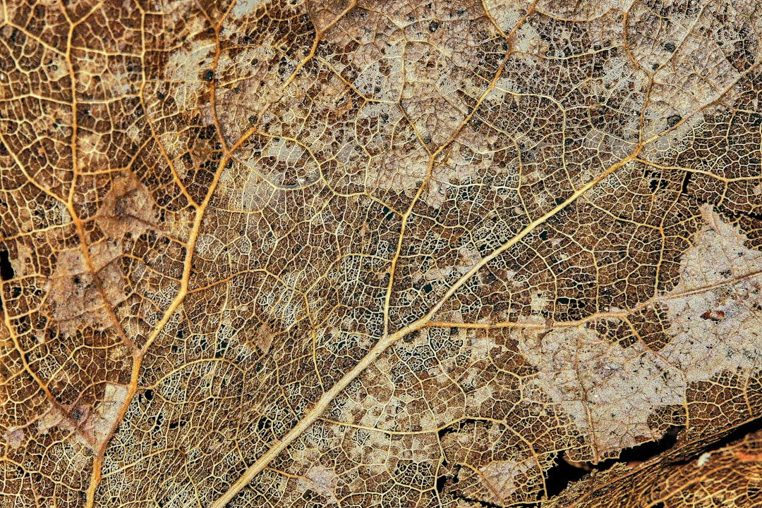 Blog de geotecnología